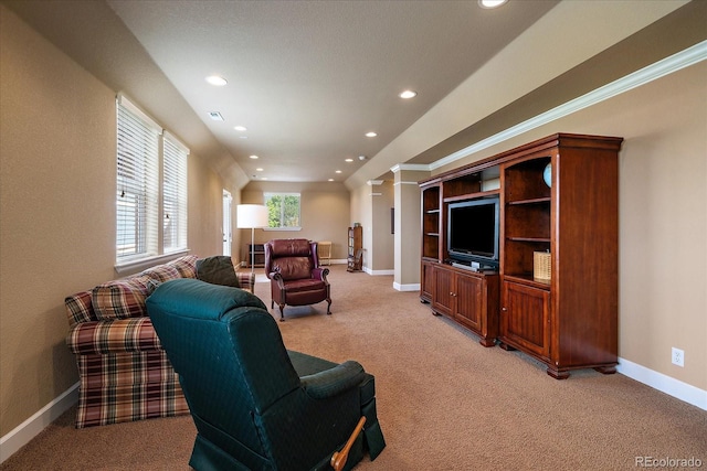 23515 Branston Ln, Parker, CO 80138 - photo 35