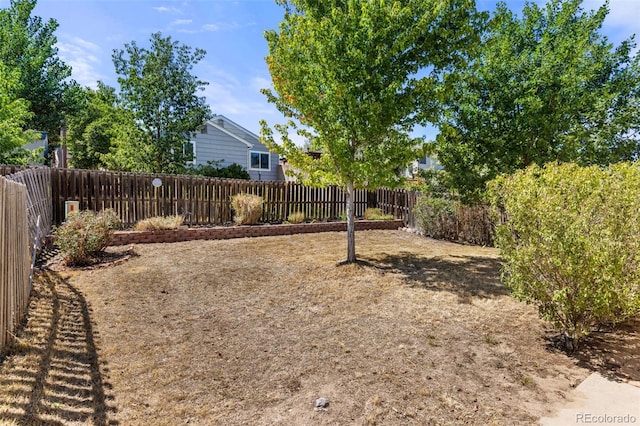 view of yard with fence private yard