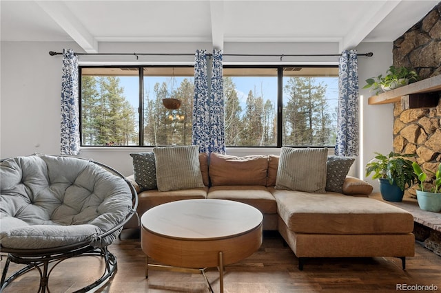 living area with beamed ceiling, a healthy amount of sunlight, and wood finished floors