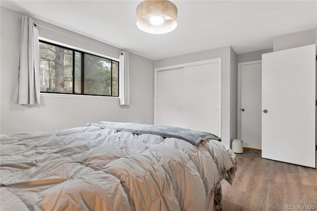 bedroom featuring a closet and wood finished floors