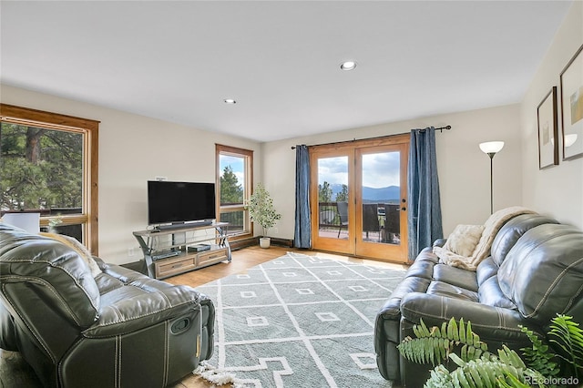 27100 Molly Dr, Conifer, CO 80433 - living room featuring light wood-style floors and recessed lighting