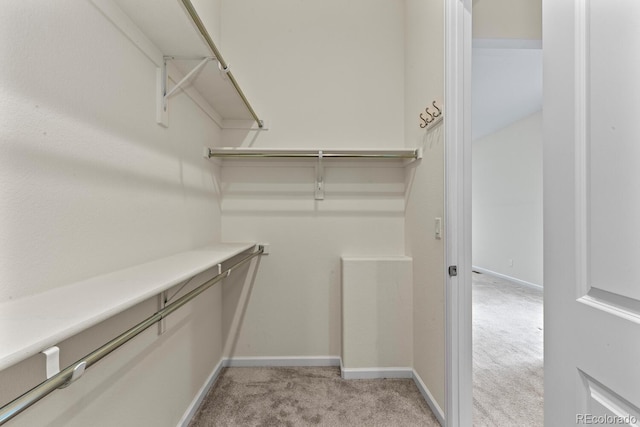 spacious closet with light colored carpet