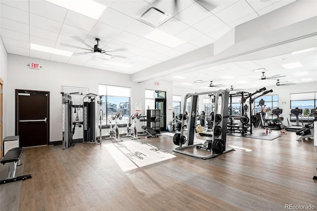 workout area featuring hardwood / wood-style flooring, plenty of natural light, and ceiling fan