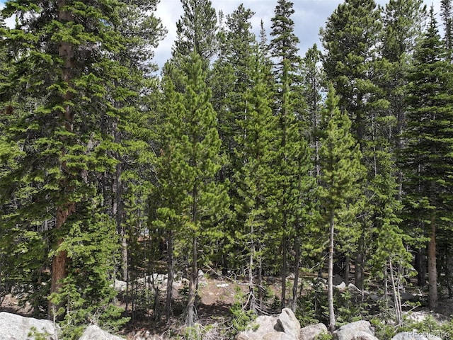 Lake Rd, Idaho Springs CO, 80452 land for sale