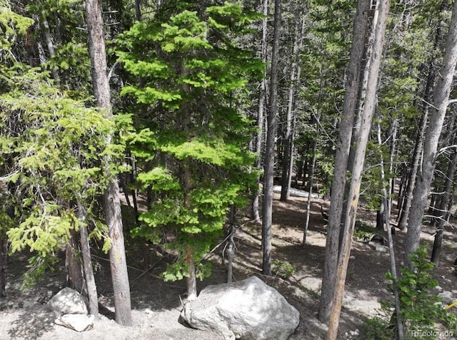 Lake Rd, Idaho Springs, CO 80452