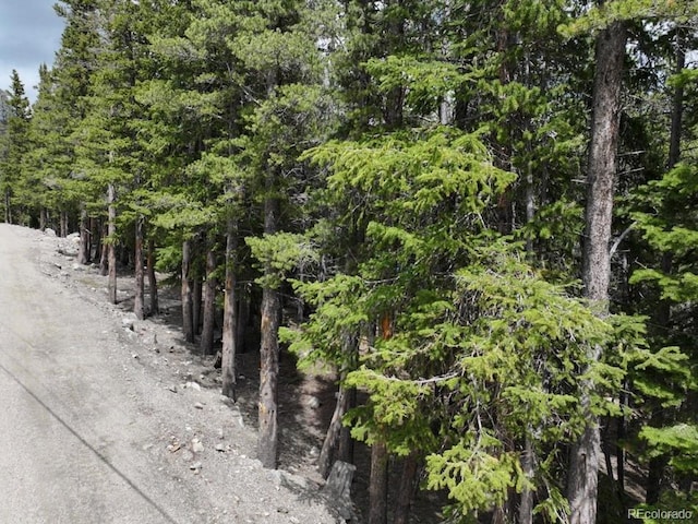 Lake Rd, Idaho Springs, CO 80452