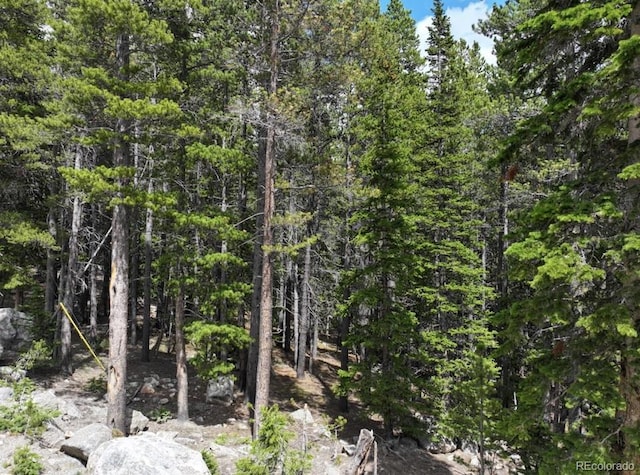 Lake Rd, Idaho Springs, CO 80452