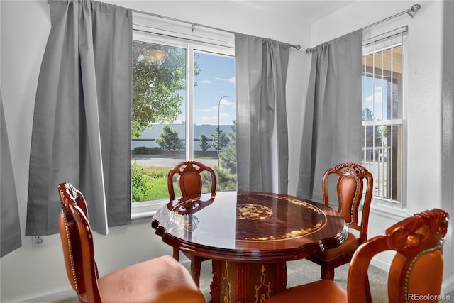 4875 S Balsam Way Unit 8-203, Littleton, CO 80123 - dining area featuring healthy amount of natural light