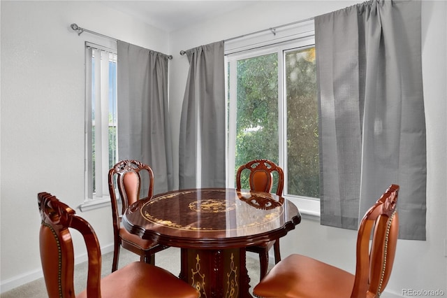 4875 S Balsam Way Unit 8-203, Littleton, CO 80123 - dining room with baseboards