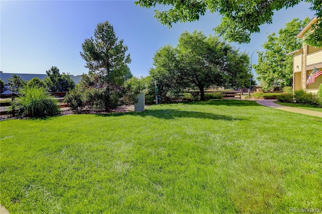 4875 S Balsam Way Unit 8-203, Littleton, CO 80123 - view of green lawn