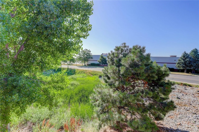 4875 S Balsam Way Unit 8-203, Littleton, CO 80123 - view of yard