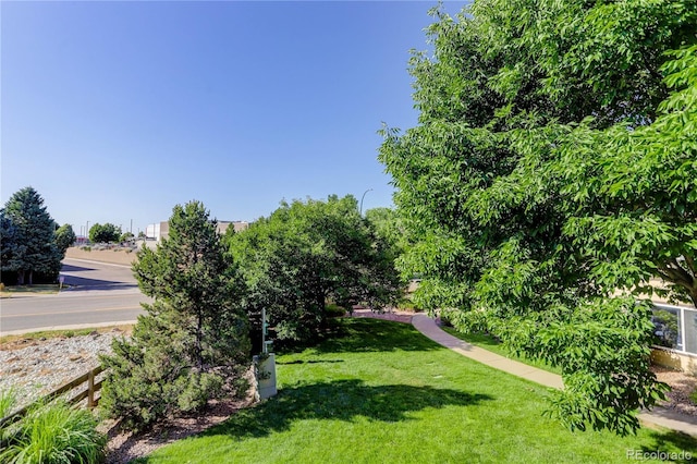 4875 S Balsam Way Unit 8-203, Littleton, CO 80123 - view of green lawn