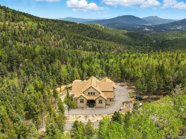 30041 Marys Dr, Conifer, CO 80433 - photo 2
