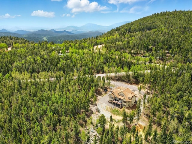 30041 Marys Dr, Conifer, CO 80433 - photo 5