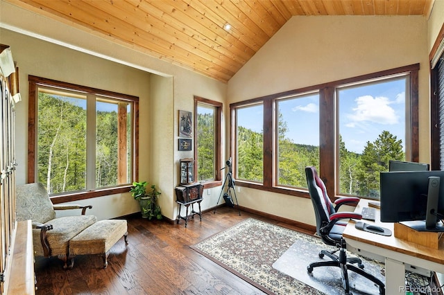 30041 Marys Dr, Conifer, CO 80433 - photo 19