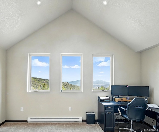 30041 Marys Dr, Conifer, CO 80433 - photo 24