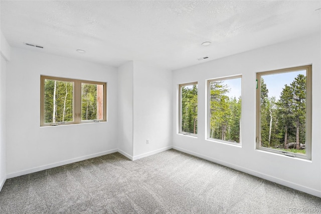 30041 Marys Dr, Conifer, CO 80433 - photo 33