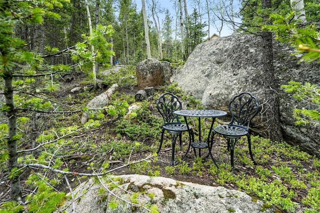30041 Marys Dr, Conifer, CO 80433 - photo 40