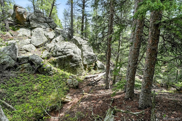 30041 Marys Dr, Conifer, CO 80433 - photo 41