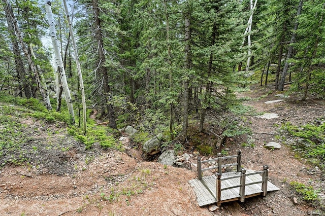 30041 Marys Dr, Conifer, CO 80433 - photo 42