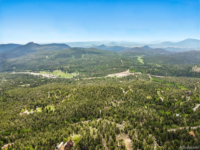 30041 Marys Dr, Conifer, CO 80433 - photo 45