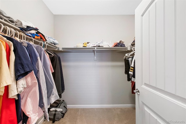 spacious closet with carpet floors