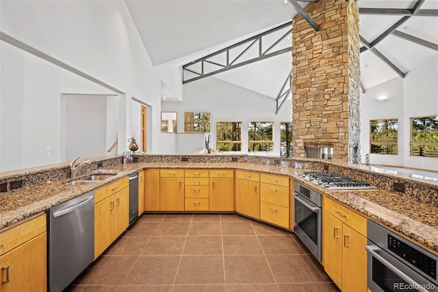 kitchen featuring sink, stone countertops, high vaulted ceiling, dark tile patterned floors, and stainless steel appliances