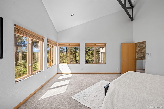 carpeted bedroom with high vaulted ceiling