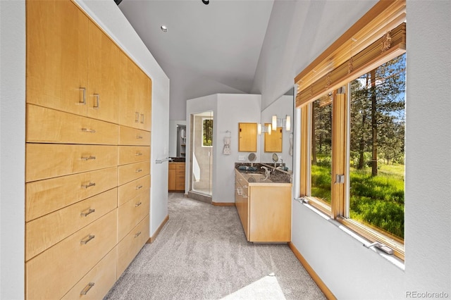 interior space featuring lofted ceiling, sink, light carpet, and plenty of natural light