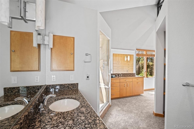 bathroom with vanity and walk in shower