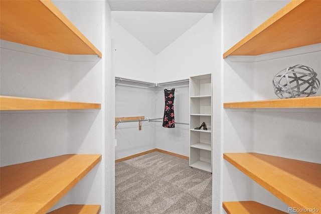 walk in closet with carpet floors