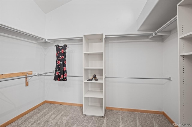 walk in closet with carpet