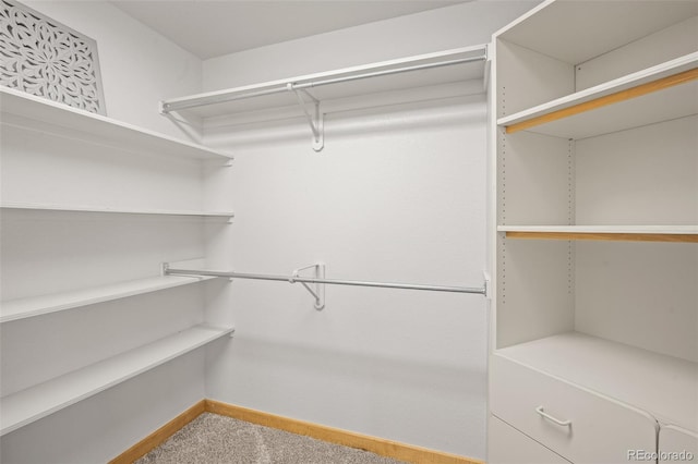 spacious closet with carpet