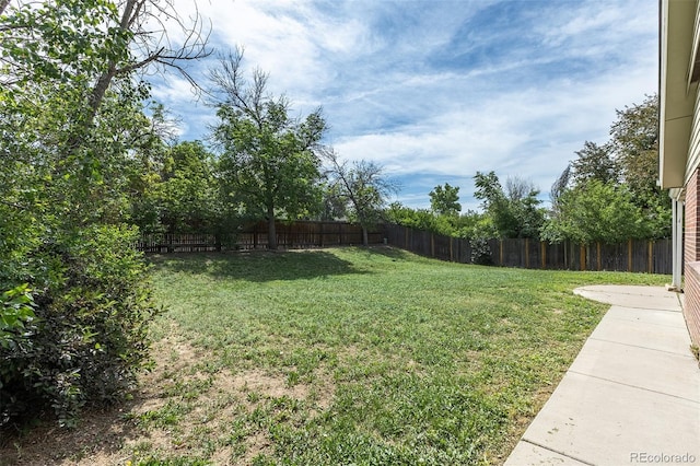 2120 S Ouray St, Aurora, CO 80013 - view of yard