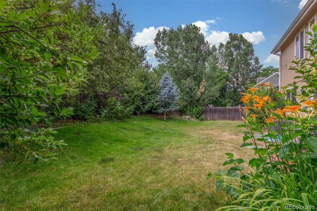 7762 W Ottawa Pl, Littleton, CO 80128 - view of yard