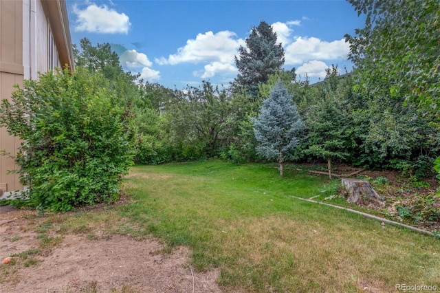 7762 W Ottawa Pl, Littleton, CO 80128 - view of grassy yard