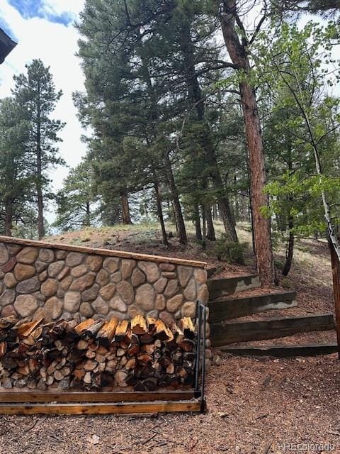 4041 Trout Creed Rd, Woodland Park, CO 80863 - view of yard