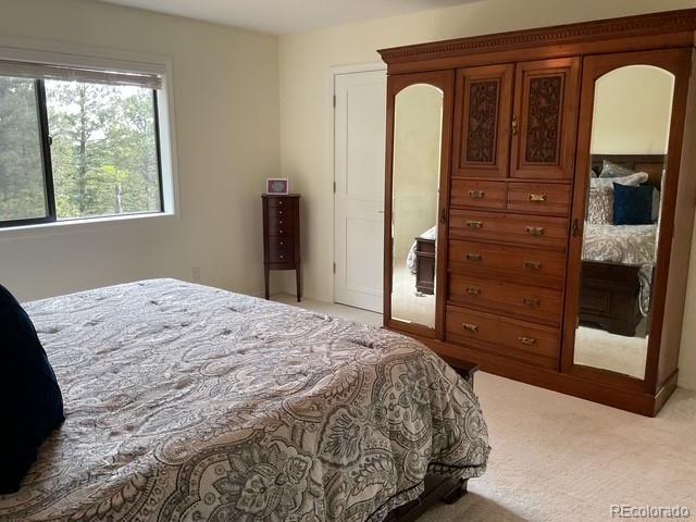 4041 Trout Creed Rd, Woodland Park, CO 80863 - view of carpeted bedroom