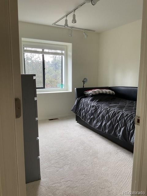 4041 Trout Creed Rd, Woodland Park, CO 80863 - carpeted bedroom with rail lighting and baseboards