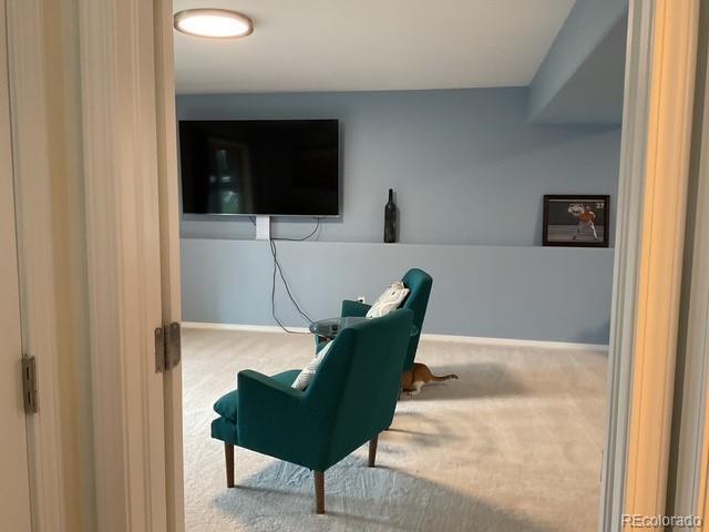 4041 Trout Creed Rd, Woodland Park, CO 80863 - carpeted office space with baseboards