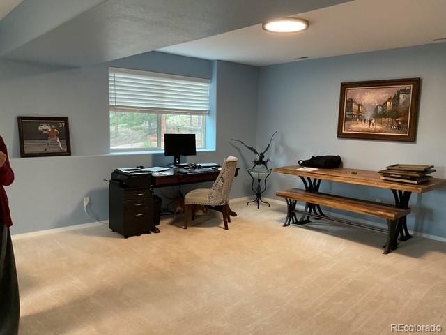 4041 Trout Creed Rd, Woodland Park, CO 80863 - office featuring carpet and baseboards