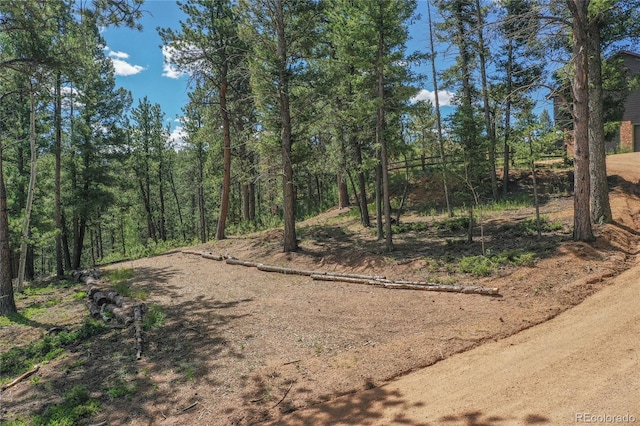 4041 Trout Creed Rd, Woodland Park, CO 80863 - view of street