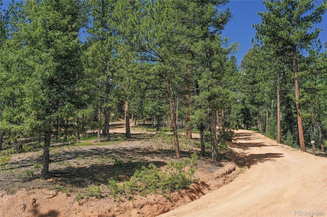 4041 Trout Creed Rd, Woodland Park, CO 80863 - view of street featuring a wooded view