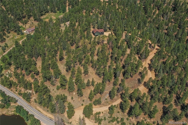 4041 Trout Creed Rd, Woodland Park, CO 80863 - aerial view of property's location