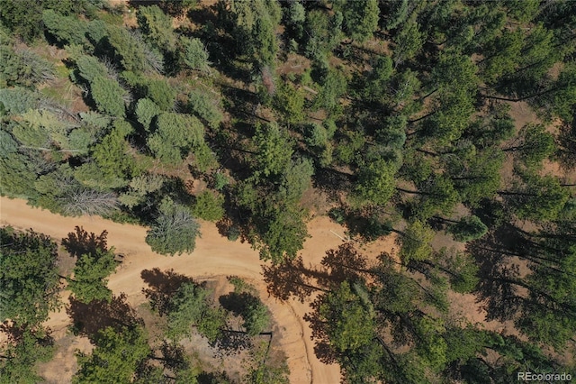 4041 Trout Creed Rd, Woodland Park, CO 80863 - aerial view of property and surrounding area