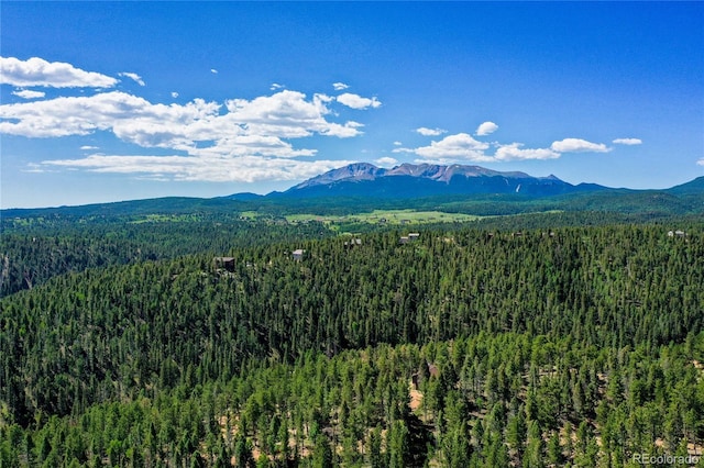 4041 Trout Creed Rd, Woodland Park, CO 80863 - view of mountain backdrop featuring a forest
