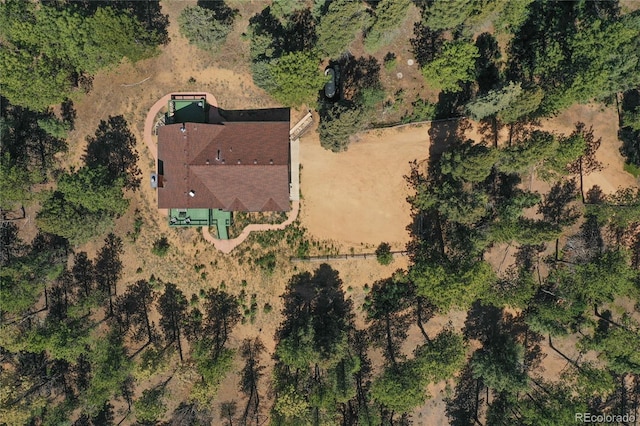 4041 Trout Creed Rd, Woodland Park, CO 80863 - aerial view of property's location