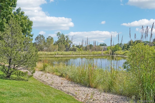 property view of water