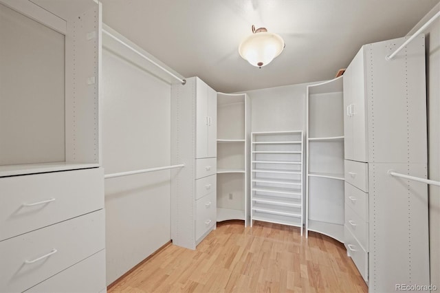 1233 Starling Ln, Elizabeth, CO 80107 - walk in closet featuring light wood-style floors