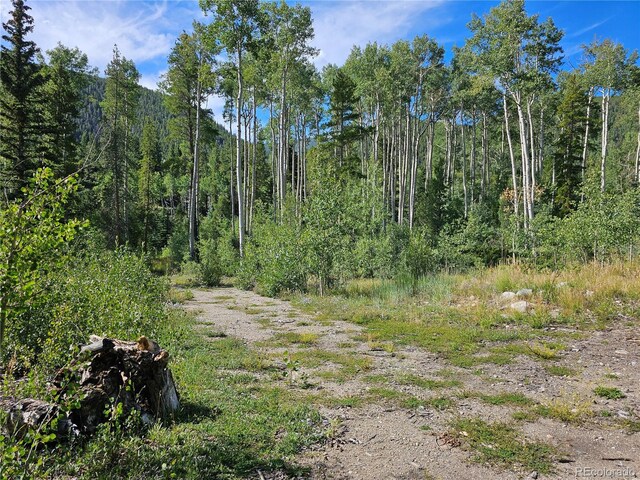 19039 Monarch River Dr, Salida, CO 81201 - photo 7
